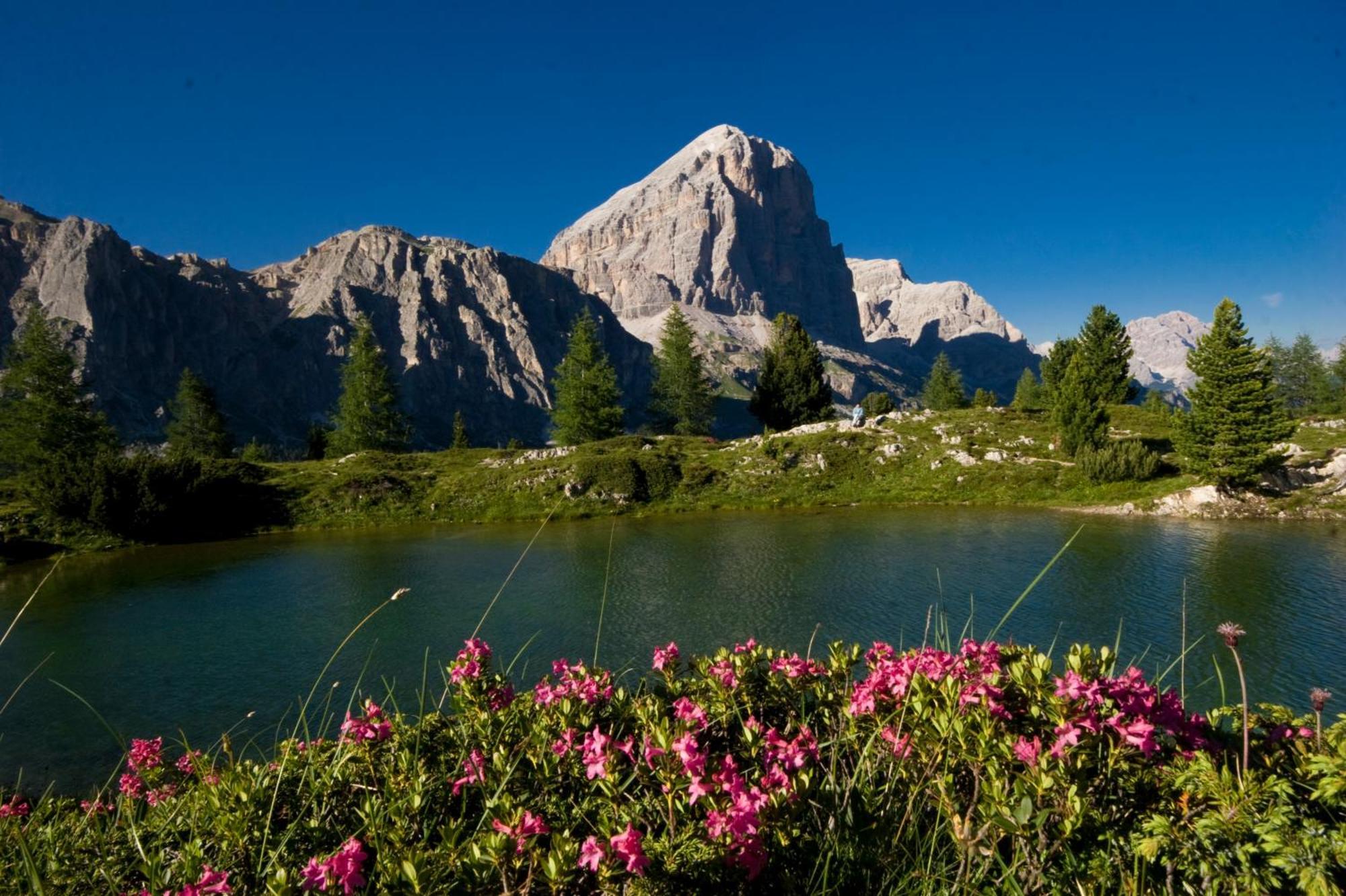 Ciasa Vervei Cortina d'Ampezzo Bagian luar foto
