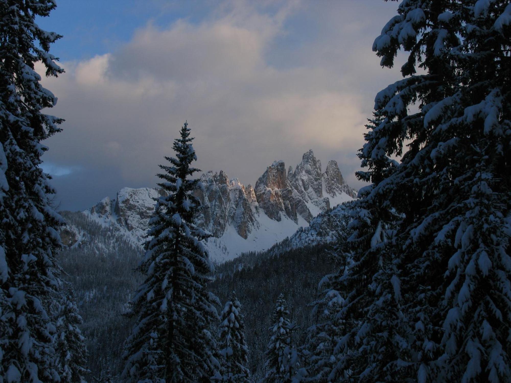 Ciasa Vervei Cortina d'Ampezzo Bagian luar foto